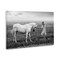 Stupell Industries Her White Horse Canvas, design by Ata Alishahi